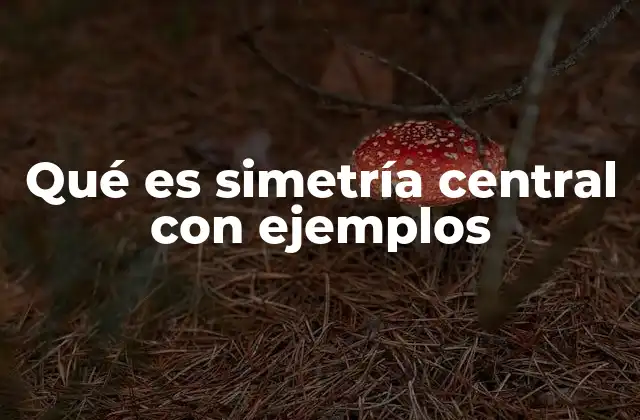Qué es Simetría Central con Ejemplos