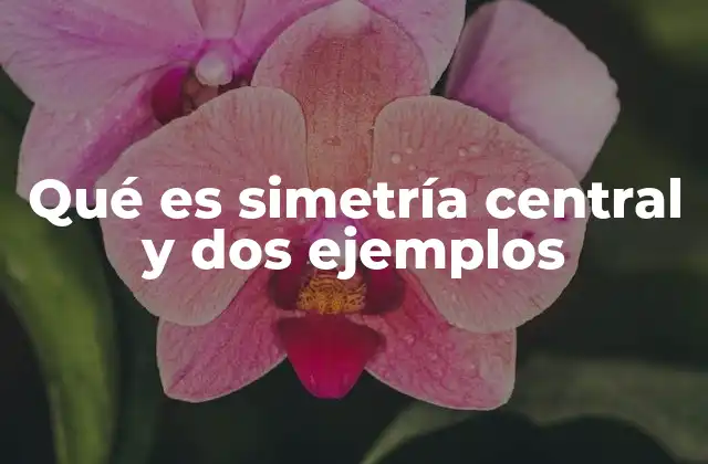 Qué es Simetría Central y Dos Ejemplos