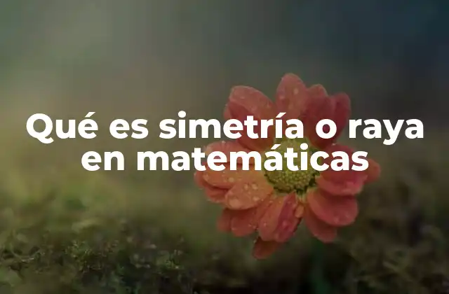 Qué es Simetría o Raya en Matemáticas