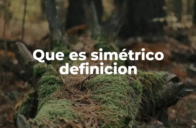 Que es Simétrico Definicion 2 La importancia de la simetría en la geometría