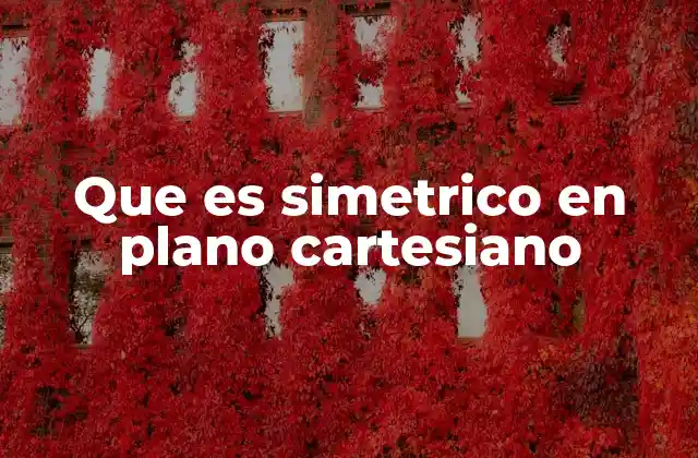 Que es Simetrico en Plano Cartesiano