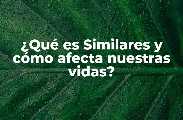 ¿qué es Similares y Cómo Afecta Nuestras Vidas? 2 La psicología detrás de la similitud
