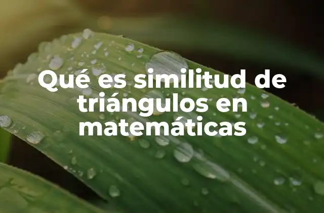 Qué es Similitud de Triángulos en Matemáticas