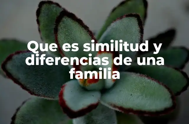 Que es Similitud y Diferencias de una Familia