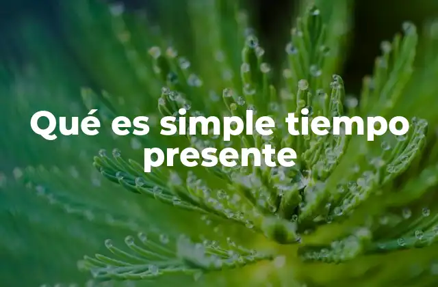 Qué es Simple Tiempo Presente