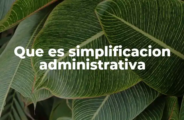 Cómo se aplica la simplificación en los trámites gubernamentales