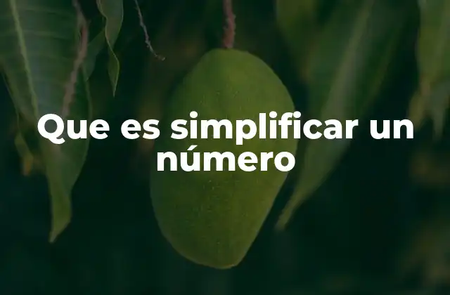 Que es Simplificar un Número