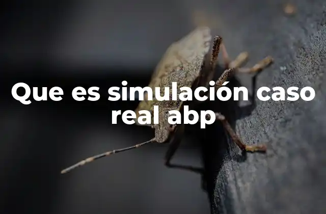 Que es Simulación Caso Real Abp