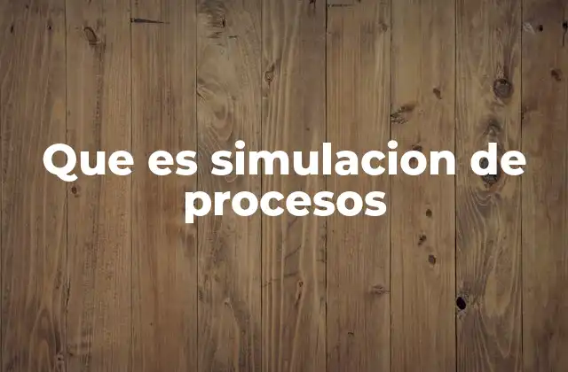Que es Simulacion de Procesos