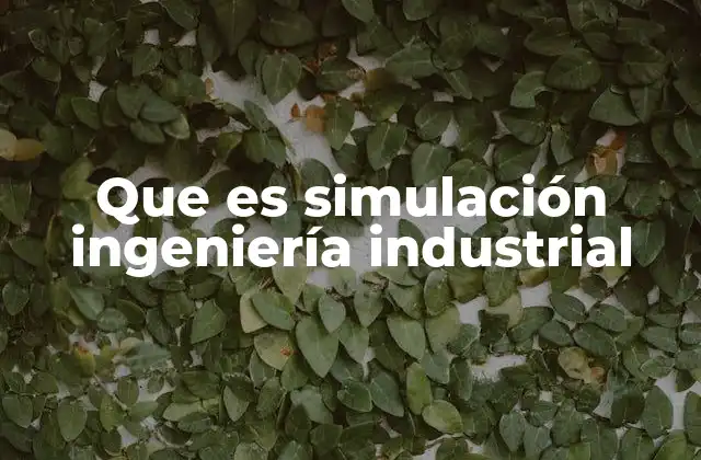 Que es Simulación Ingeniería Industrial