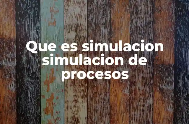 Que es Simulacion Simulacion de Procesos
