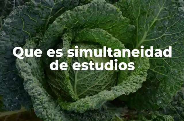 Que es Simultaneidad de Estudios