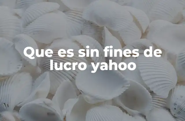 Que es sin Fines de Lucro Yahoo