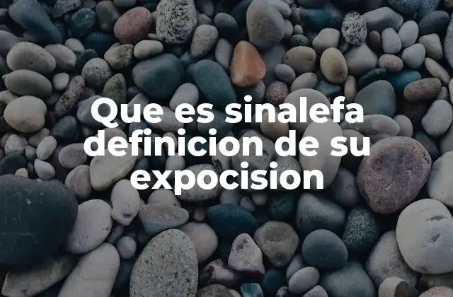 Que es Sinalefa Definicion de Su Expocision