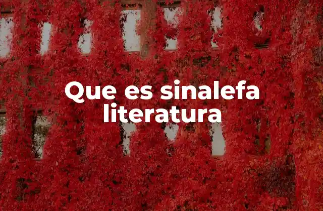 Que es Sinalefa Literatura