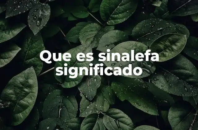 Que es Sinalefa Significado