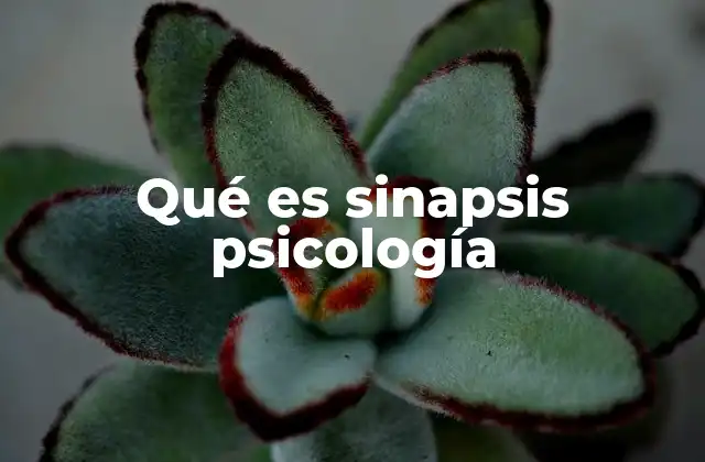 Qué es Sinapsis Psicología