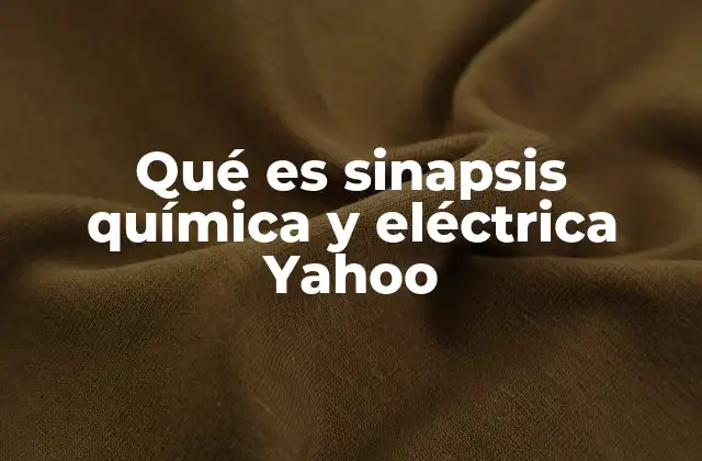 Qué es Sinapsis Química y Eléctrica Yahoo