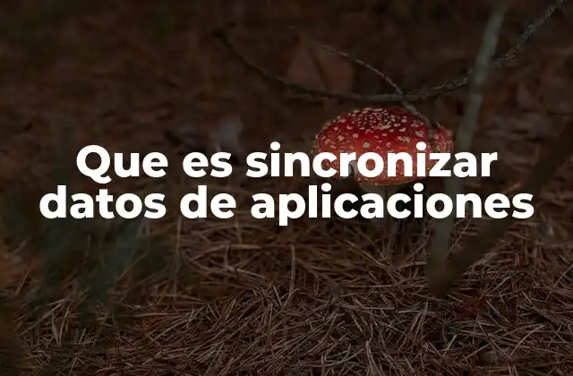 Que es Sincronizar Datos de Aplicaciones