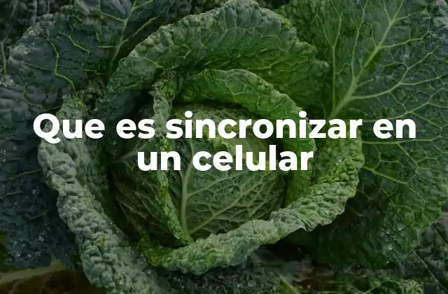 Cómo la sincronización mejora la gestión de datos en dispositivos móviles