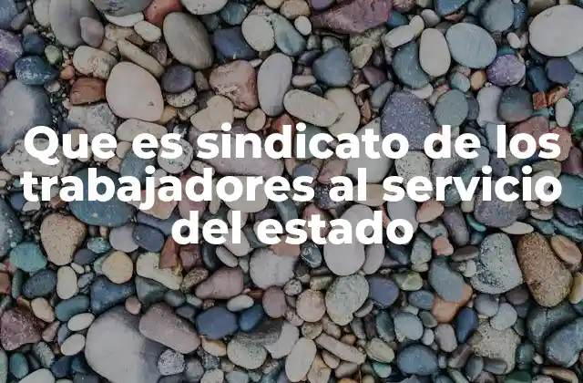 Que es Sindicato de los Trabajadores Al Servicio Del Estado