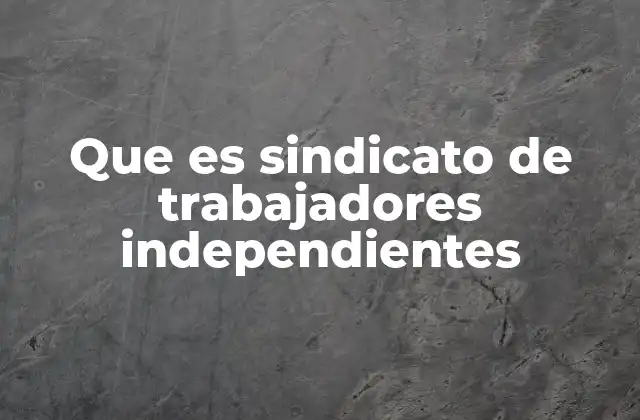 Que es Sindicato de Trabajadores Independientes 2 La importancia de la representación colectiva en el sector independiente