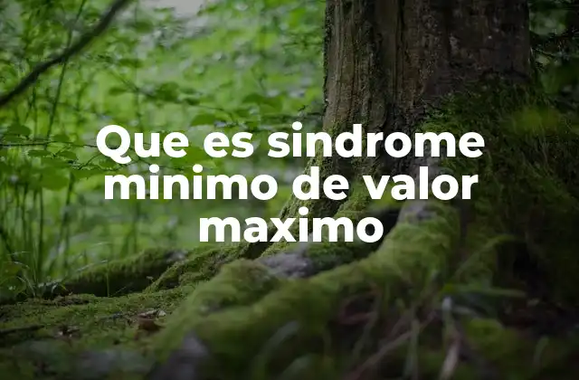 Que es Sindrome Minimo de Valor Maximo