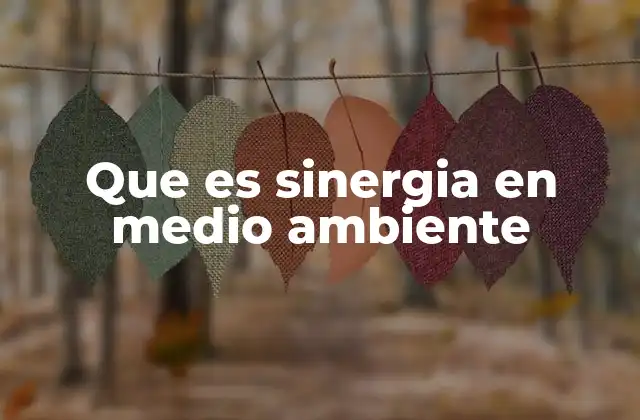 Que es Sinergia en Medio Ambiente