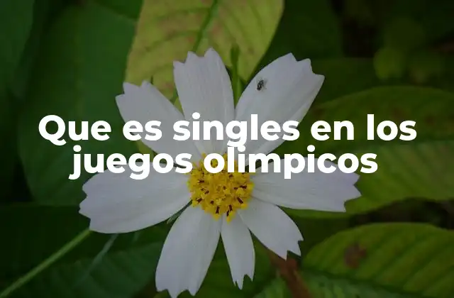 Que es Singles en los Juegos Olimpicos