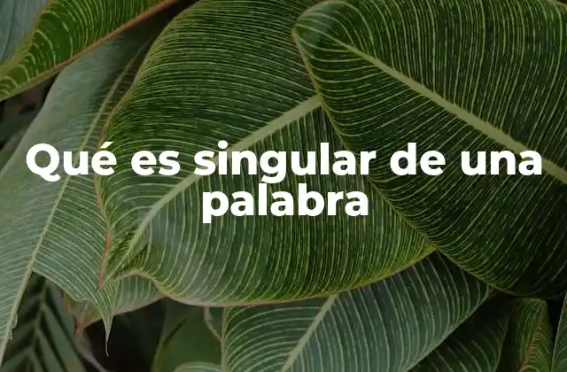 Qué es Singular de una Palabra