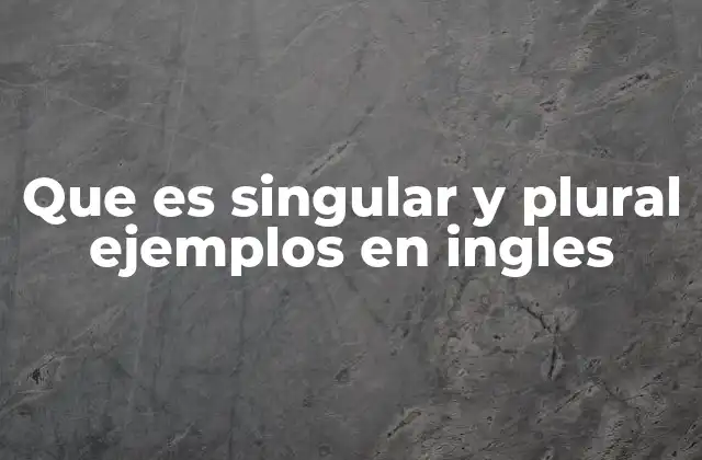 Que es Singular y Plural Ejemplos en Ingles