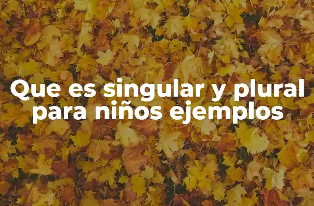 Que es Singular y Plural para Niños Ejemplos