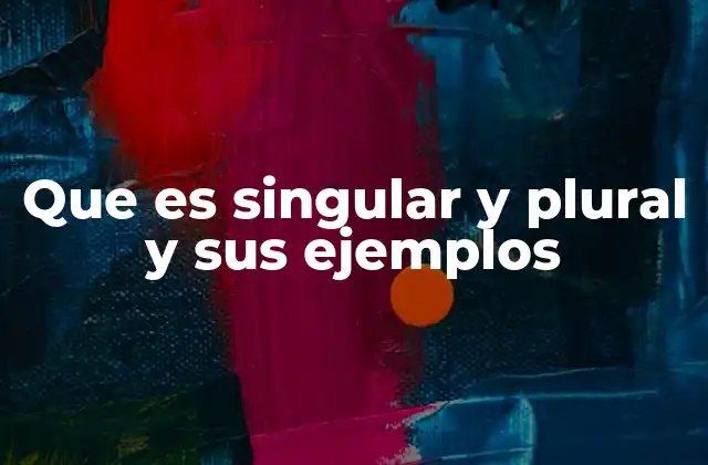 Que es Singular y Plural y Sus Ejemplos