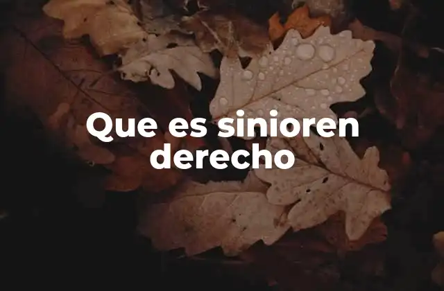 Que es Sinioren Derecho
