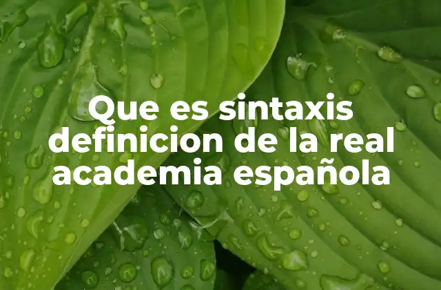 Que es Sintaxis Definicion de la Real Academia Española