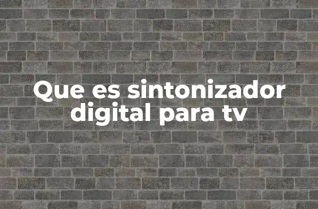 Que es Sintonizador Digital para Tv