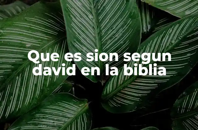 Que es Sion Segun David en la Biblia