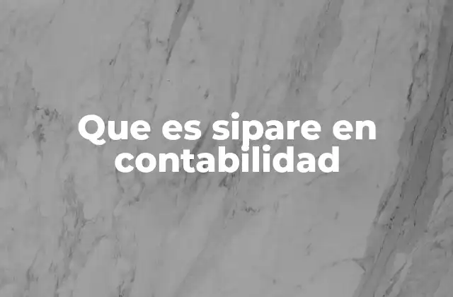 Cómo funciona el modelo contable SIPARE