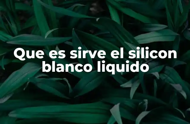 Que es Sirve el Silicon Blanco Liquido