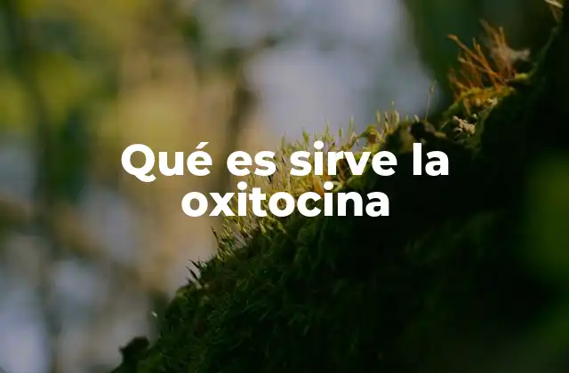 Qué es Sirve la Oxitocina