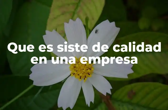 Que es Siste de Calidad en una Empresa