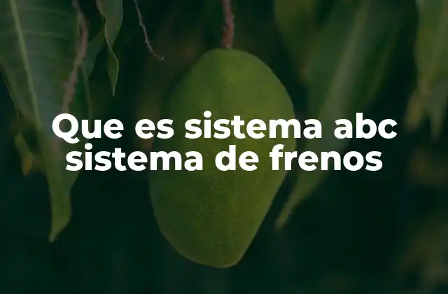 Que es Sistema Abc Sistema de Frenos