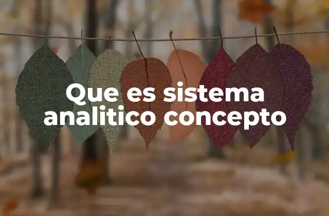 Que es Sistema Analitico Concepto