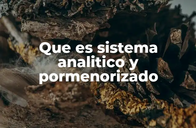 Que es Sistema Analitico y Pormenorizado