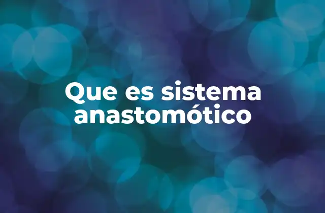 Que es Sistema Anastomótico 2 La importancia de las redes circulatorias en la fisiología humana