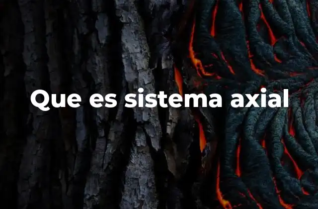 La importancia estructural del sistema axial en el cuerpo humano