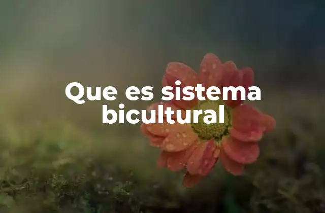 La integración cultural sin la pérdida de identidad