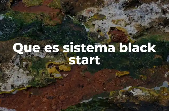 Que es Sistema Black Start