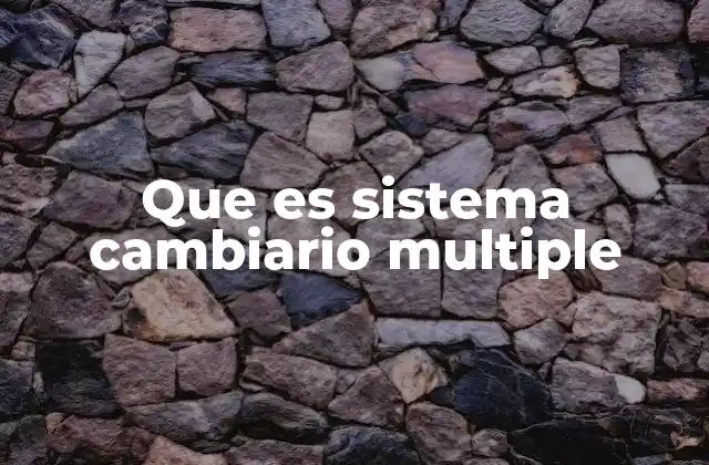 Que es Sistema Cambiario Multiple