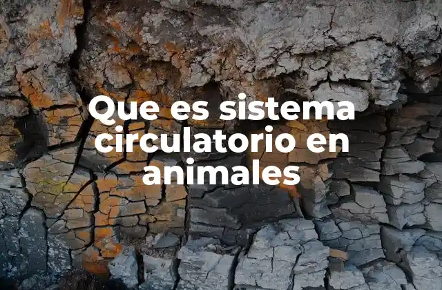 Que es Sistema Circulatorio en Animales